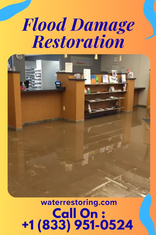 Flood Damage Restoration in West Columbia, TX