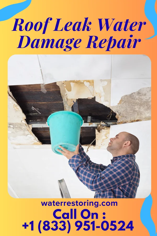 Roof Leak Water Damage Repair in West Columbia, TX
